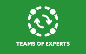 Teams of Experts